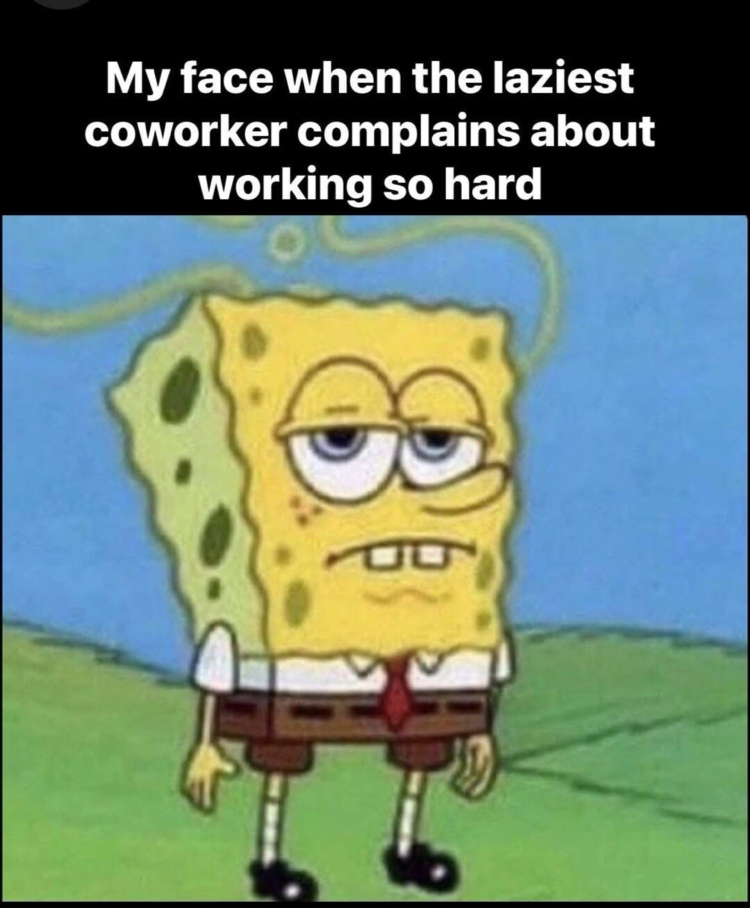 My face when the laziest coworker complains about working so hard