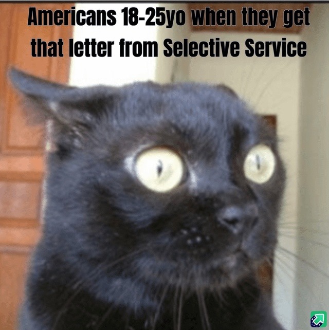 Americans 18-25yo when they get that letter from Selective Service