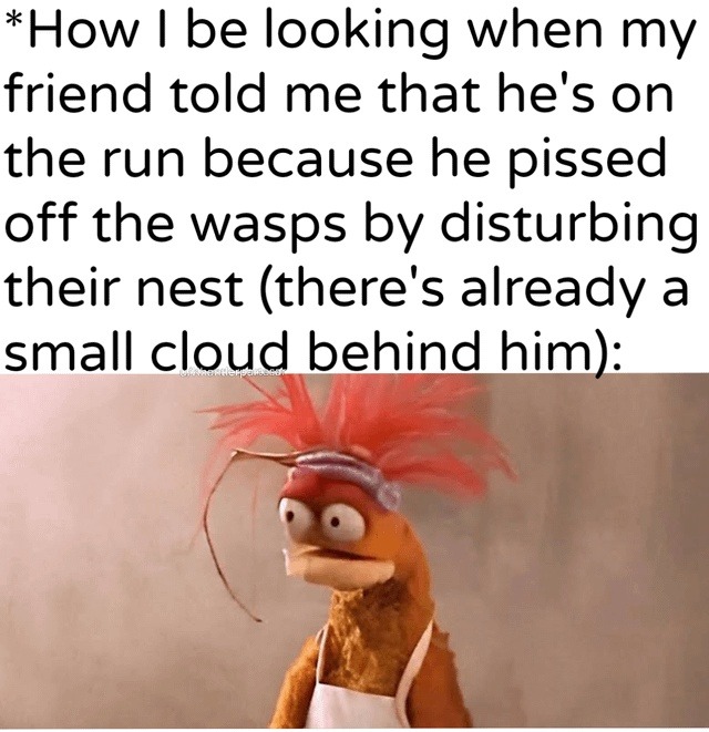 *How I be looking when my friend told me that he's on the run because he pissed off the wasps by disturbing their nest (there's already a small cloud behind him):*