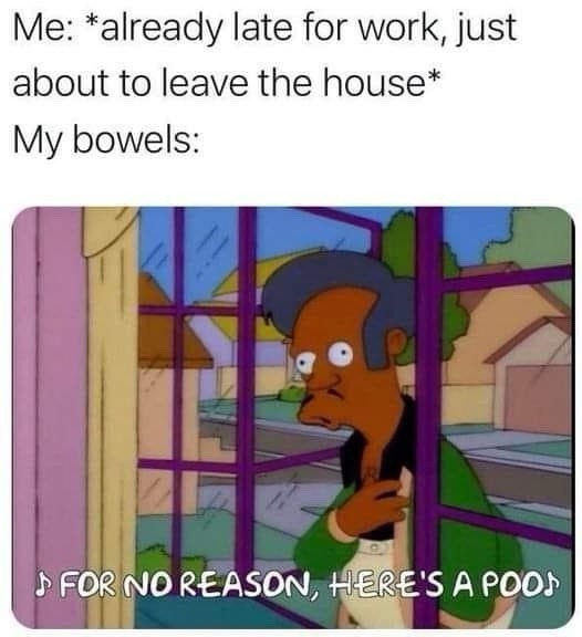 Me: *already late for work, just about to leave the house* My bowels: FOR NO REASON, HERE'S A POOP