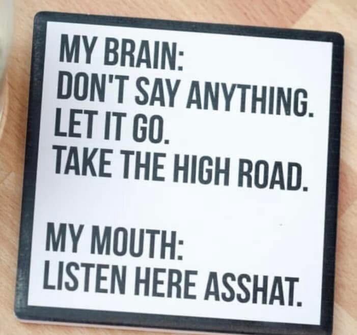 MY BRAIN: DON'T SAY ANYTHING. LET IT GO. TAKE THE HIGH ROAD. MY MOUTH: LISTEN HERE ASSHAT.