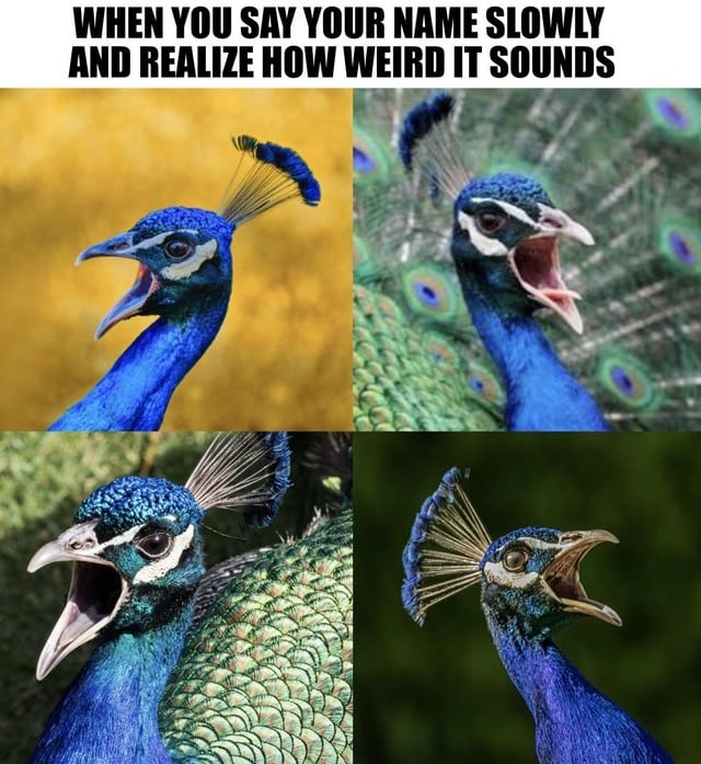 WHEN YOU SAY YOUR NAME SLOWLY AND REALIZE HOW WEIRD IT SOUNDS