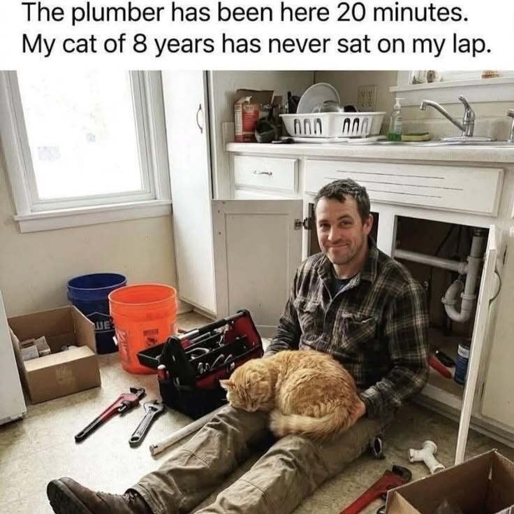 The plumber has been here 20 minutes. My cat of 8 years has never sat on my lap.