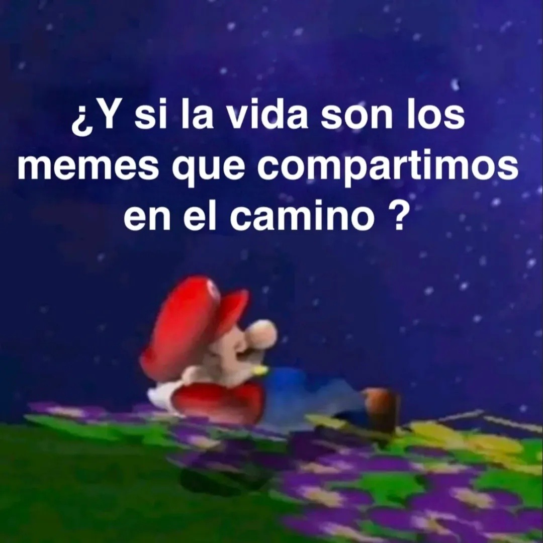 ¿Y si la vida son los memes que compartimos en el camino?
