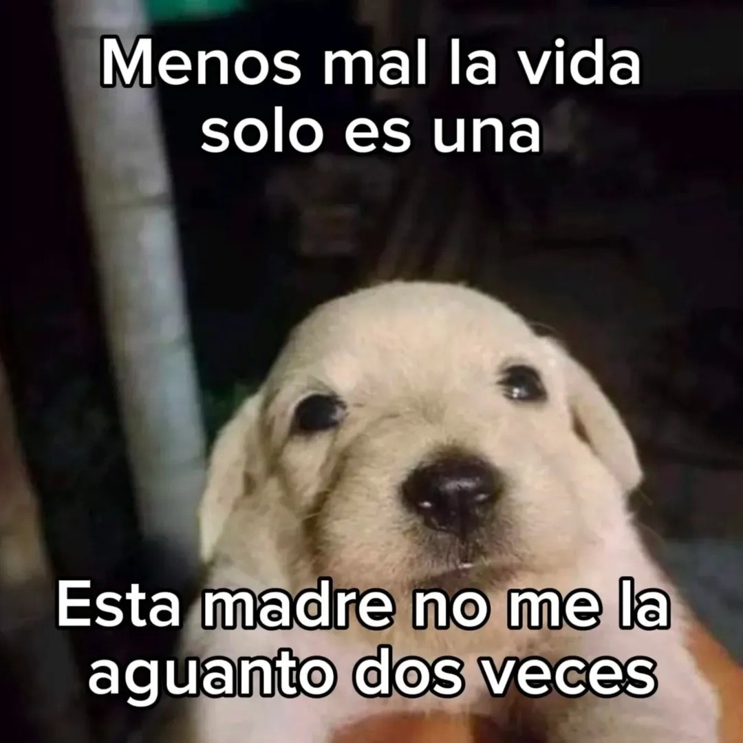 Menos mal la vida solo es una Esta madre no me la aguanto dos veces