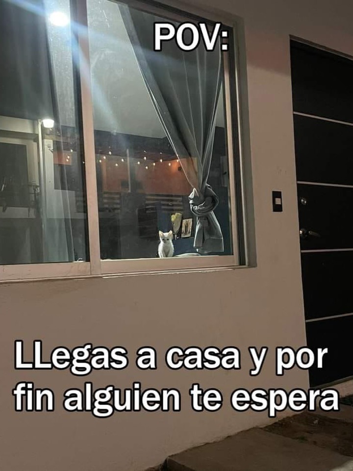 POV: Llegas a casa y por fin alguien te espera