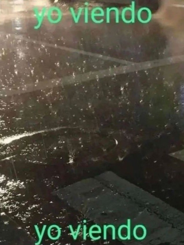 yo viendo yo viendo