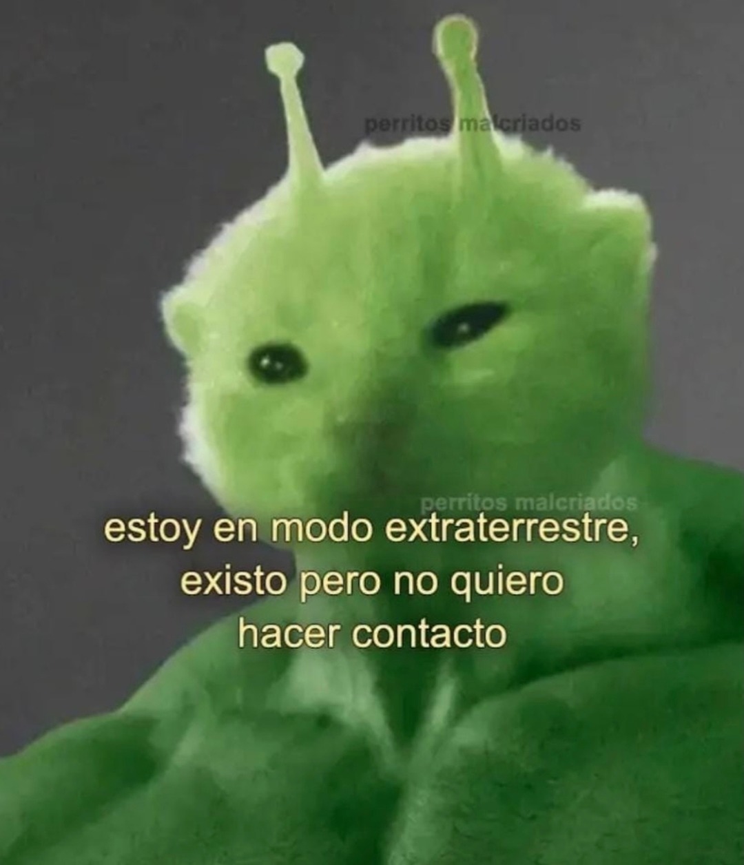 estoy en modo extraterrestre, existo pero no quiero hacer contacto