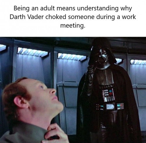 Being an adult means understanding why Darth Vader choked someone during a work meeting.
