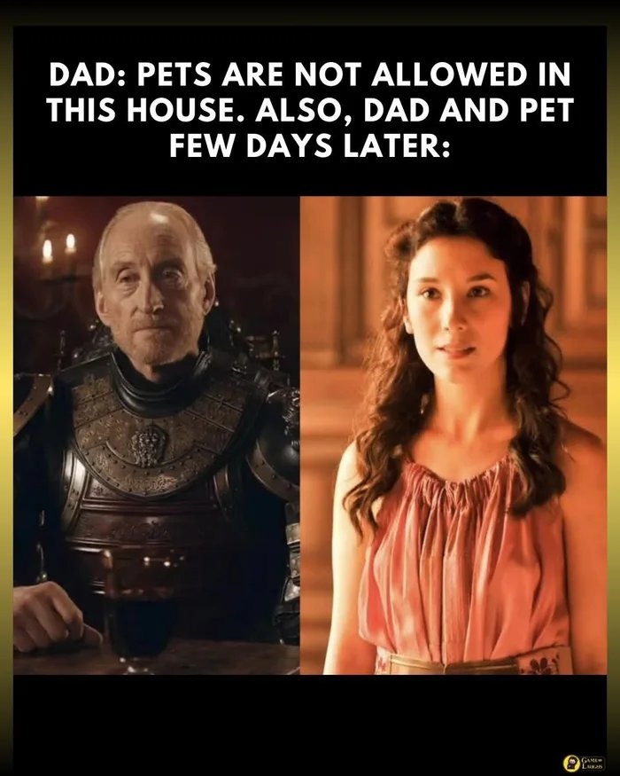 DAD: PETS ARE NOT ALLOWED IN THIS HOUSE. ALSO, DAD AND PET FEW DAYS LATER: