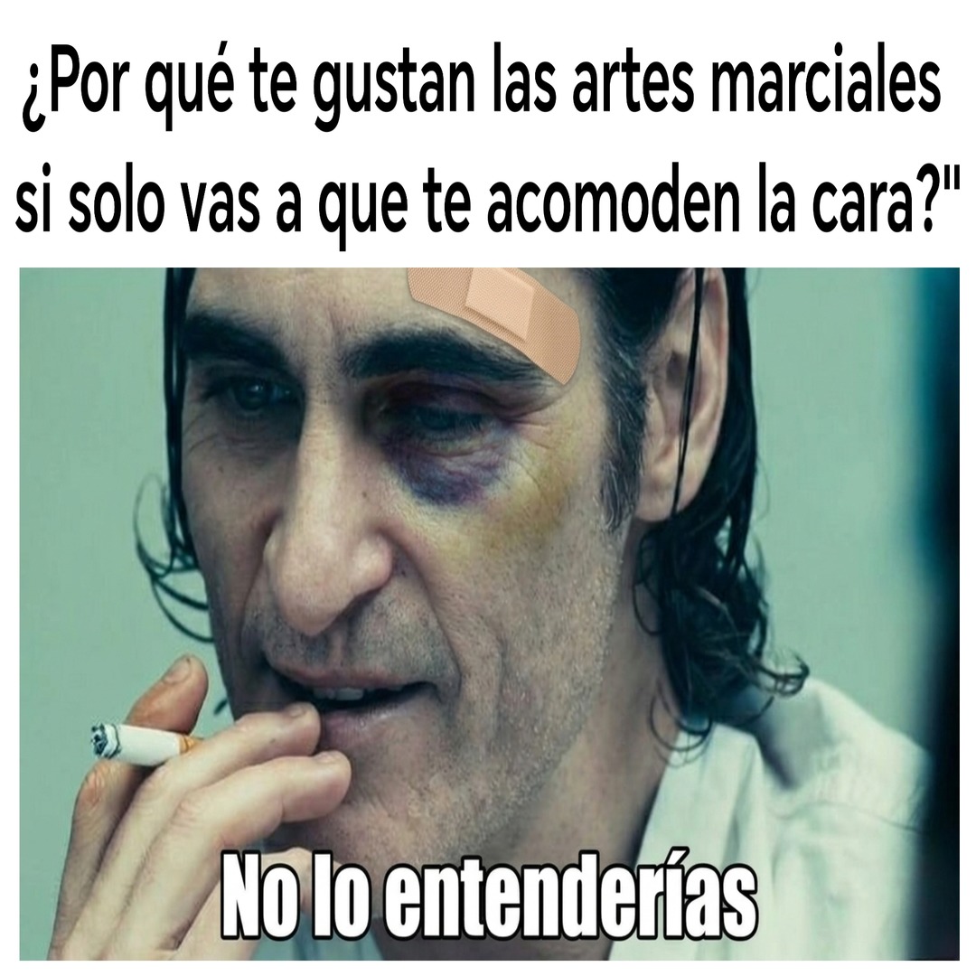 ¿Por qué te gustan las artes marciales si solo vas a que te acomododen la cara?\nNo lo entenderías