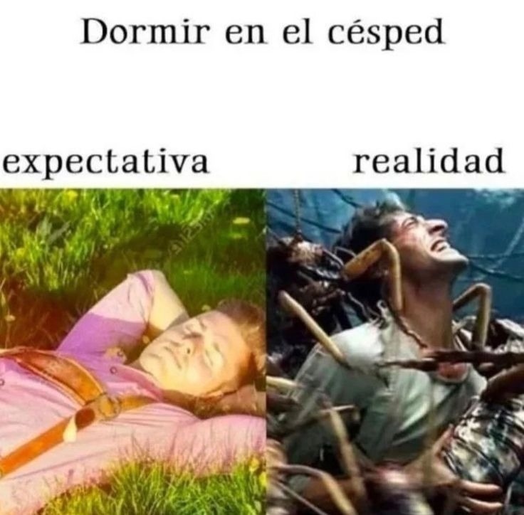 Dormir en el césped
expectativa
realidad