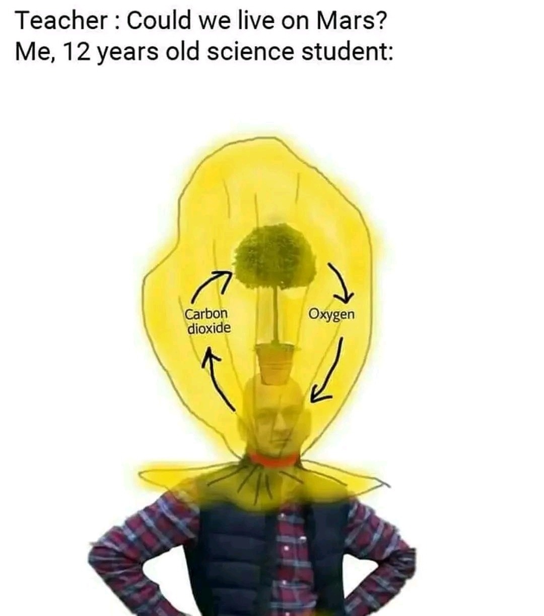 Teacher: Could we live on Mars? Me, 12 years old science student:
(illustration showing a person with a diagram of carbon dioxide and oxygen cycles around the head)