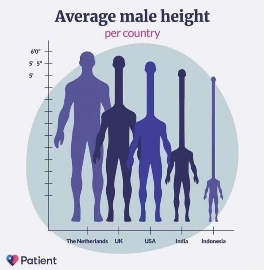 Average male height per country The Netherlands UK USA India Indonesia