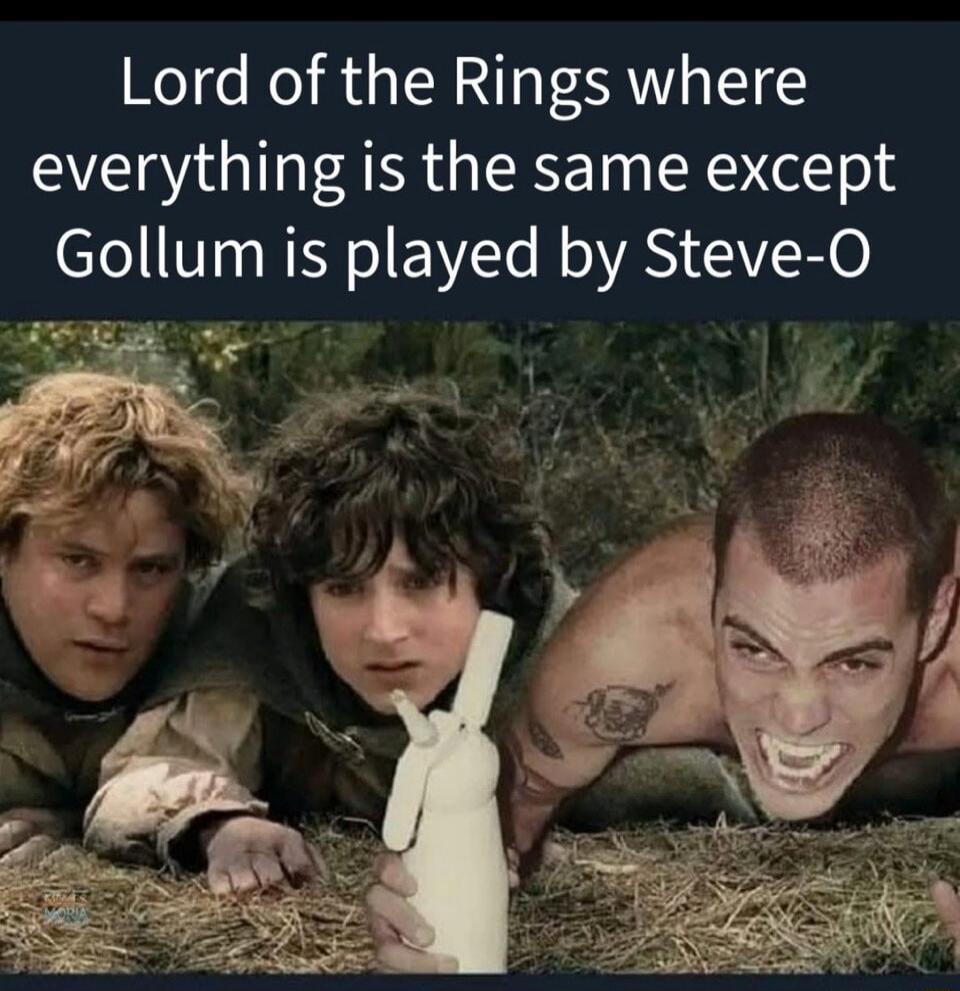 Lord of the Rings where everything is the same except Gollum is played by Steve-O