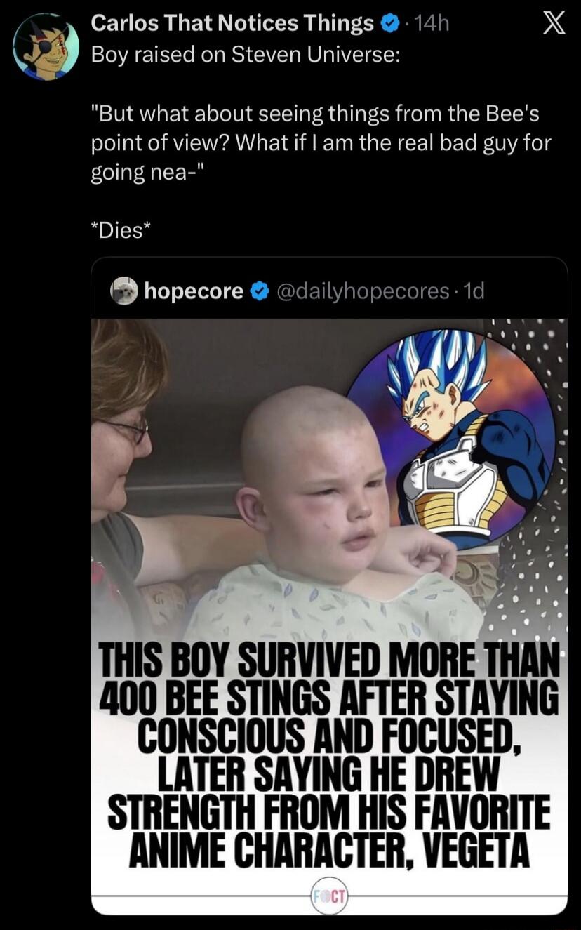 Boy raised on Steven Universe: 