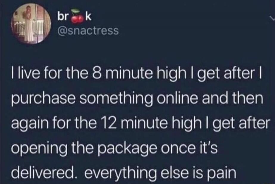 I live for the 8 minute high I get after I purchase something online and then again for the 12 minute high I get after opening the package once it’s delivered. everything else is pain