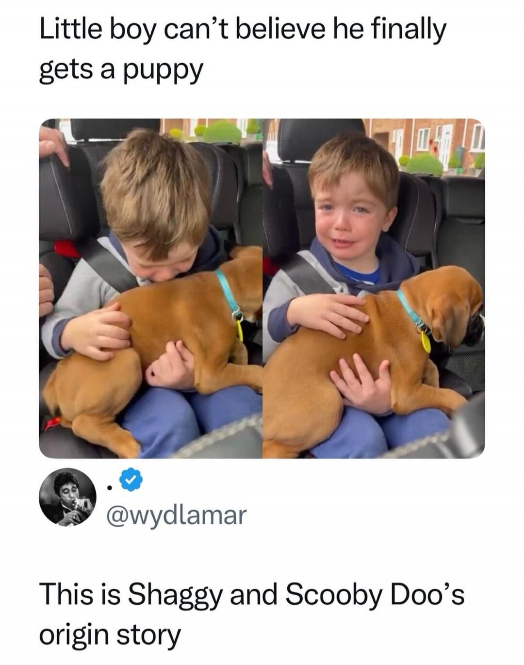 Little boy can’t believe he finally gets a puppy. This is Shaggy and Scooby Doo’s origin story. @wydLamar