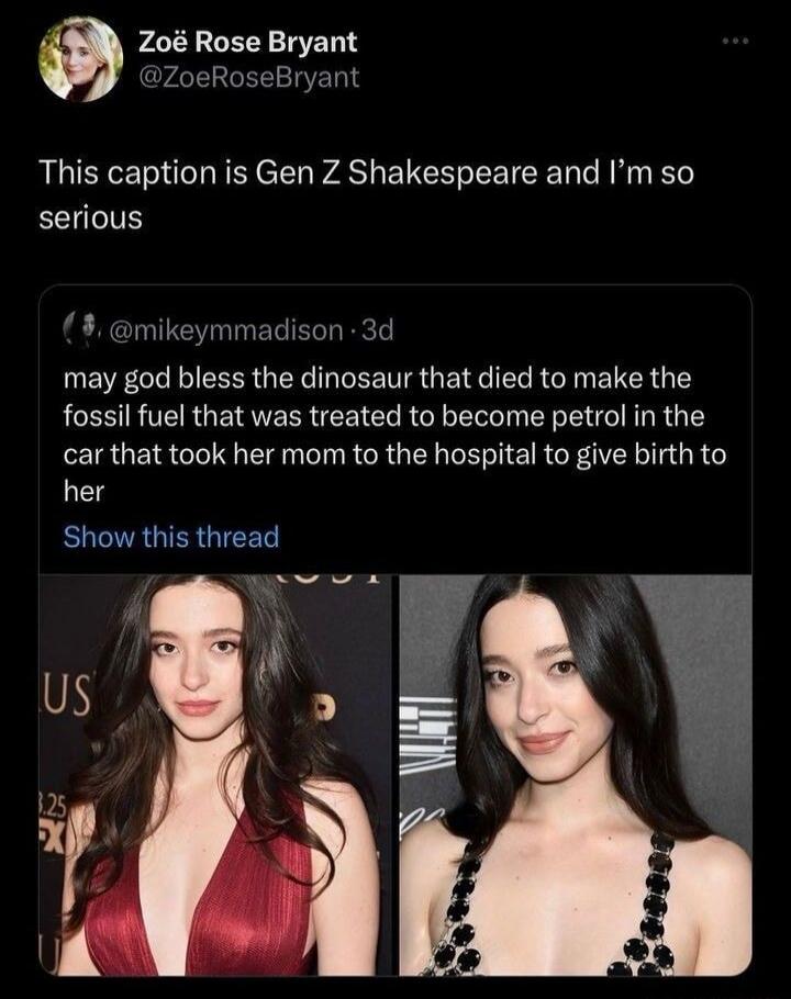 This caption is Gen Z Shakespeare and I’m so serious

may god bless the dinosaur that died to make the fossil fuel that was treated to become petrol in the car that took her mom to the hospital to give birth to her