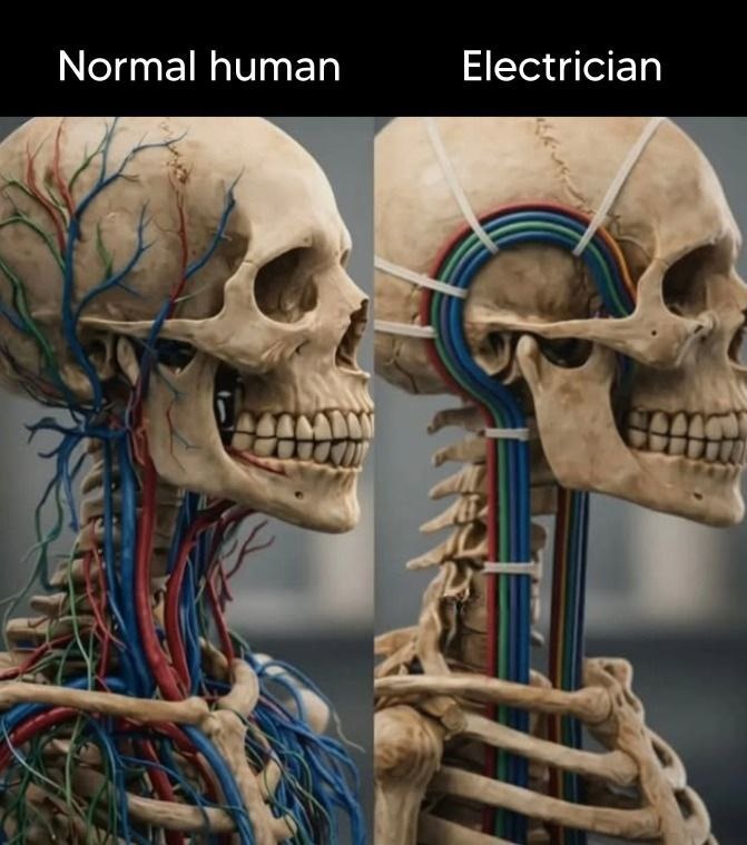 Normal human
Electrician