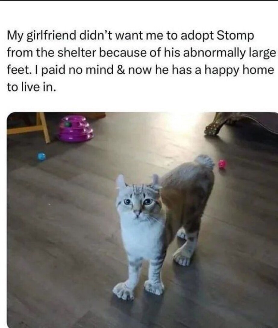 My girlfriend didn’t want me to adopt Stomp from the shelter because of his abnormally large feet. I paid no mind & now he has a happy home to live in.