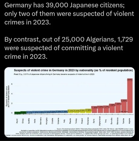 Germany has 39,000 Japanese citizens; only two of them were suspected of violent crimes in 2023. By contrast, out of 25,000 Algerians, 1,729 were suspected of committing a violent crime in 2023.
