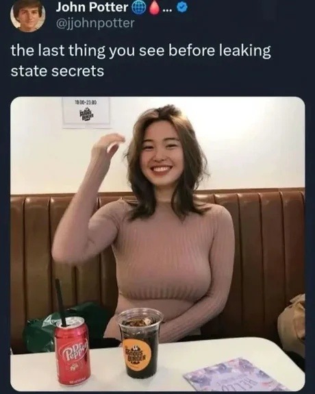 the last thing you see before leaking state secrets