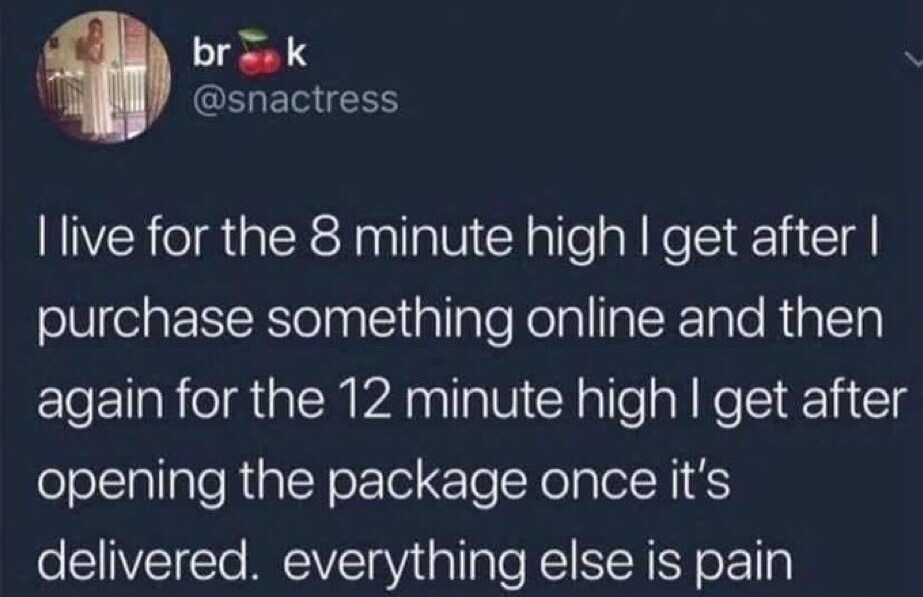 I live for the 8 minute high I get after I purchase something online and then again for the 12 minute high I get after opening the package once it’s delivered. everything else is pain