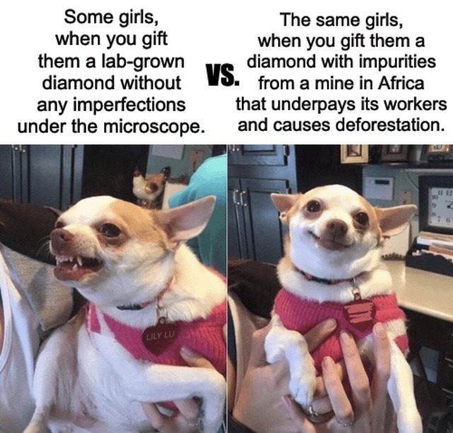 Some girls, when you gift them a lab-grown diamond without any imperfections under the microscope. VS. The same girls, when you gift them a diamond with impurities from a mine in Africa that underpays its workers and causes deforestation.