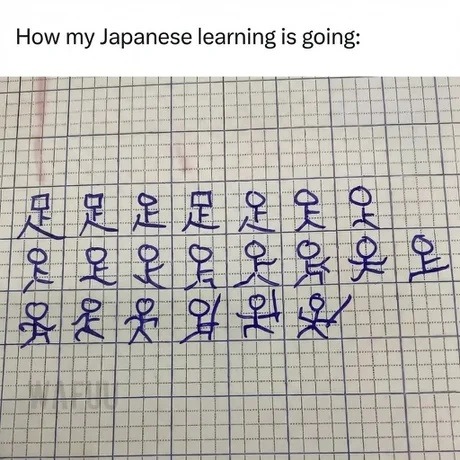 How my Japanese learning is going: