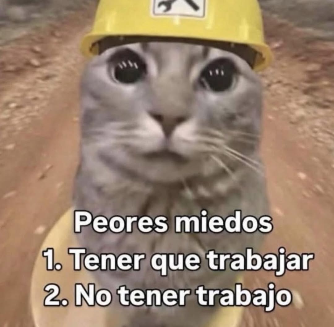 Peores miedos
1. Tener que trabajar
2. No tener trabajo