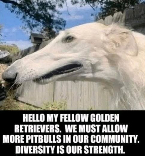 HELLO MY FELLOW GOLDEN RETRIEVERS. WE MUST ALLOW MORE PITBULLS IN OUR COMMUNITY. DIVERSITY IS OUR STRENGTH.