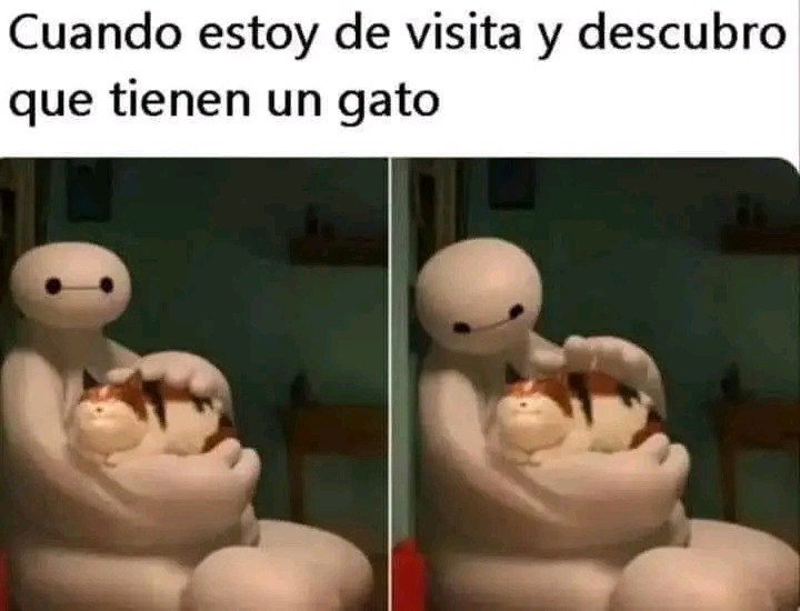 Cuando estoy de visita y descubro que tienen un gato