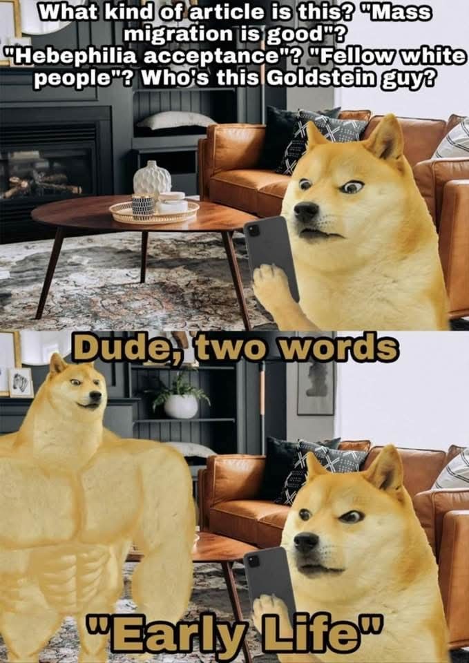 What kind of article is this? 