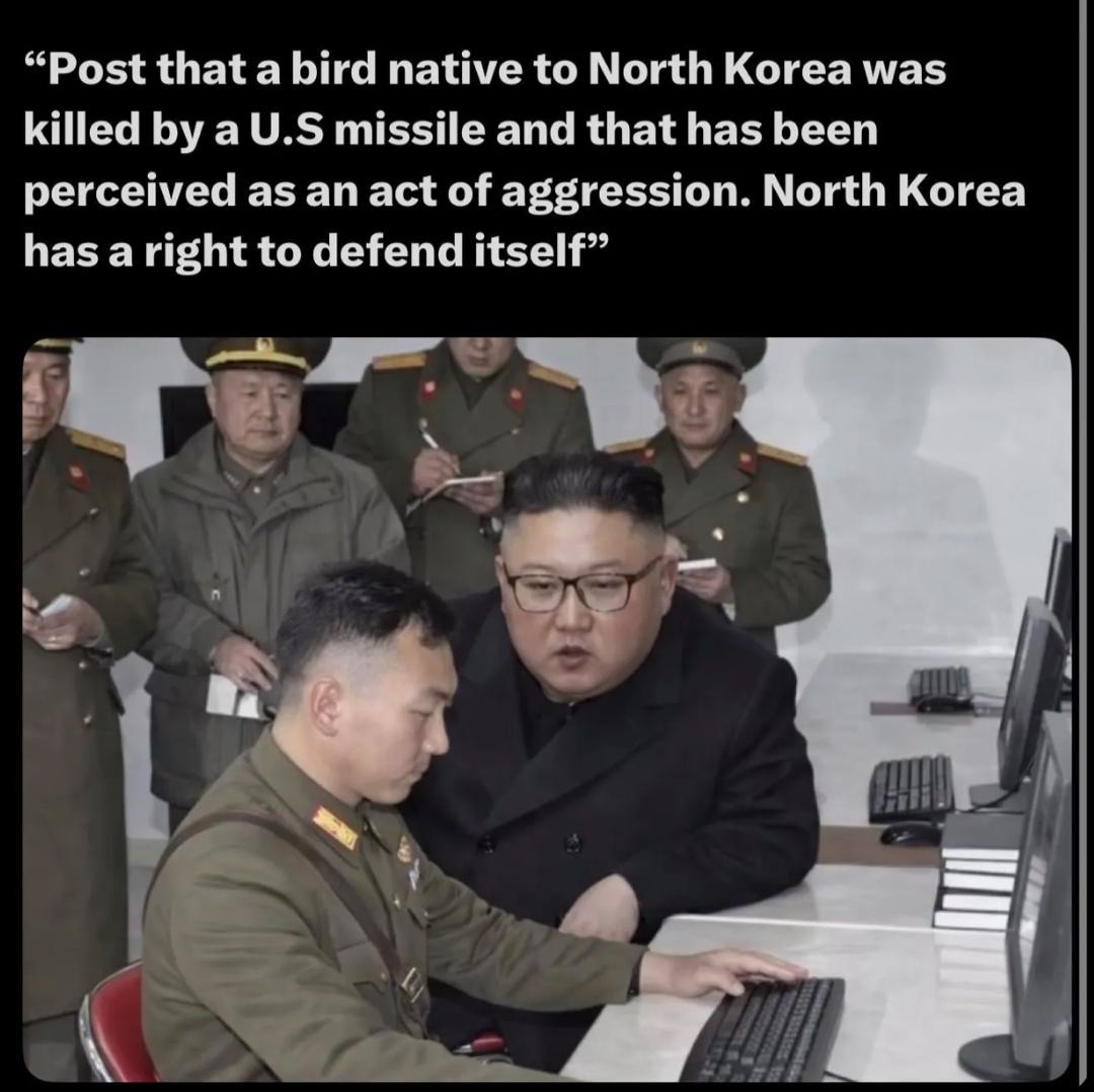 “Post that a bird native to North Korea was killed by a U.S missile and that has been perceived as an act of aggression. North Korea has a right to defend itself”