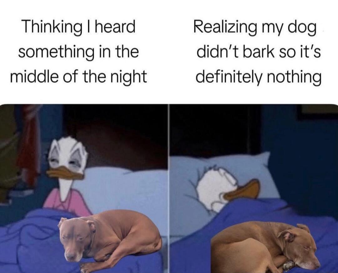 Thinking I heard something in the middle of the night
Realizing my dog didn't bark so it's definitely nothing