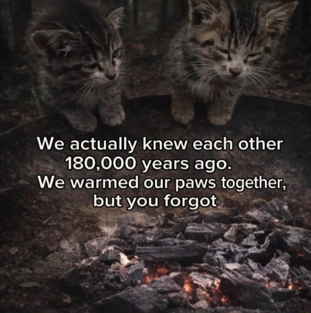We actually knew each other 180,000 years ago. We warmed our paws together, but you forgot
