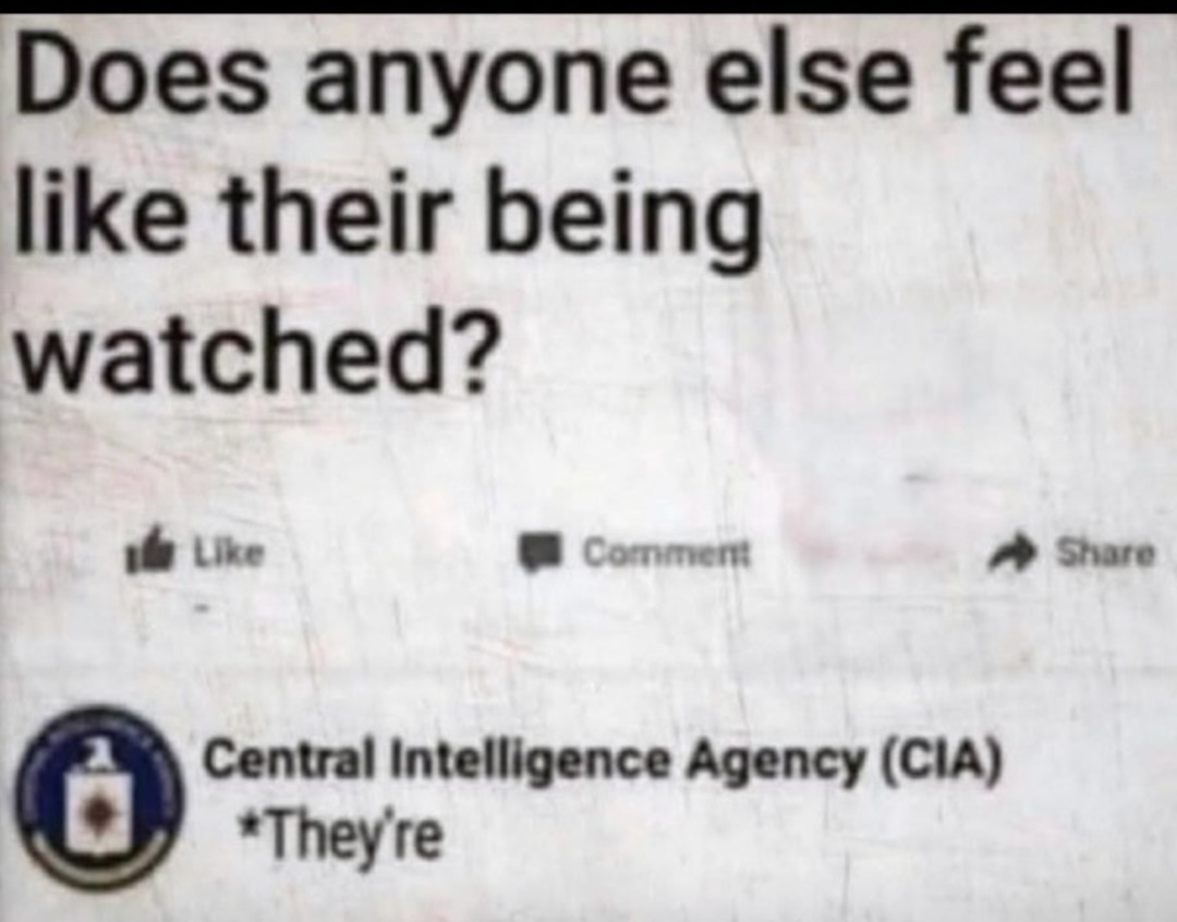 Does anyone else feel like their being watched? Central Intelligence Agency (CIA) They're