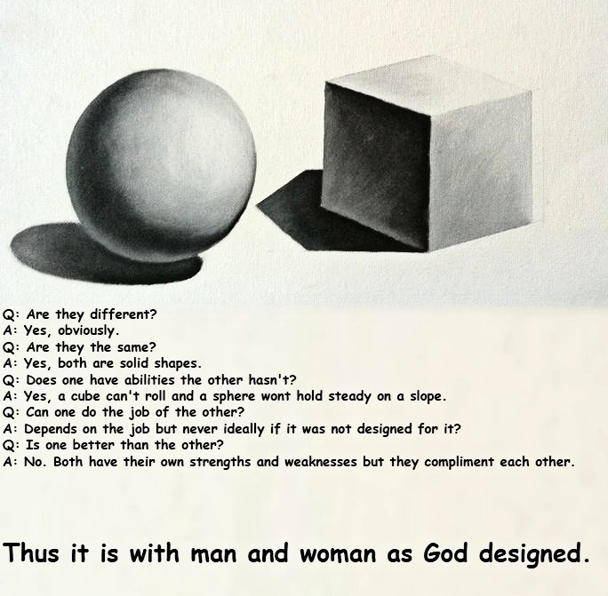 Q: Are they different?
A: Yes, obviously.
Q: Are they the same?
A: Yes, both are solid shapes.
Q: Does one have abilities the other hasn't?
A: Yes, a cube can't roll and a sphere won't roll on a slope.
Q: Can one do the job of the other?
A: Depends on the job but never ideally if it was not designed for it?
Q: Is one better than the other?
A: No. B