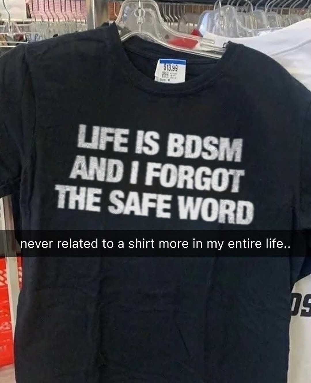 LIFE IS BDSM AND I FORGOT THE SAFE WORD