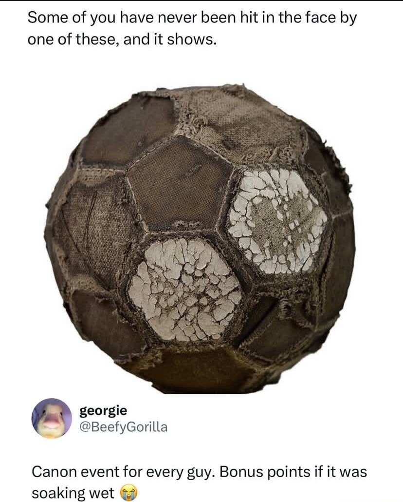 Some of you have never been hit in the face by one of these, and it shows.
georgie
@BeefyGorilla
Canon event for every guy. Bonus points if it was soaking wet 😂
