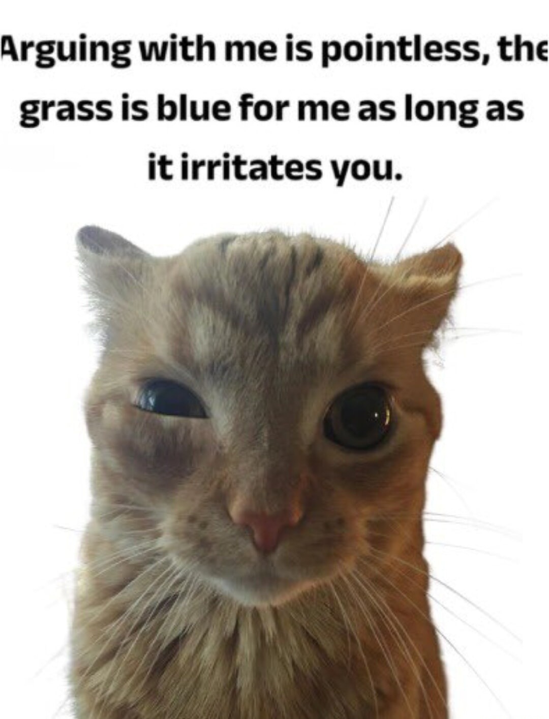 Arguing with me is pointless, the grass is blue for me as long as it irritates you.