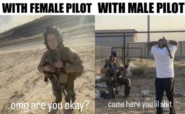 WITH FEMALE PILOT  WITH MALE PILOT 
omg are you okay? 
come here you lil shit