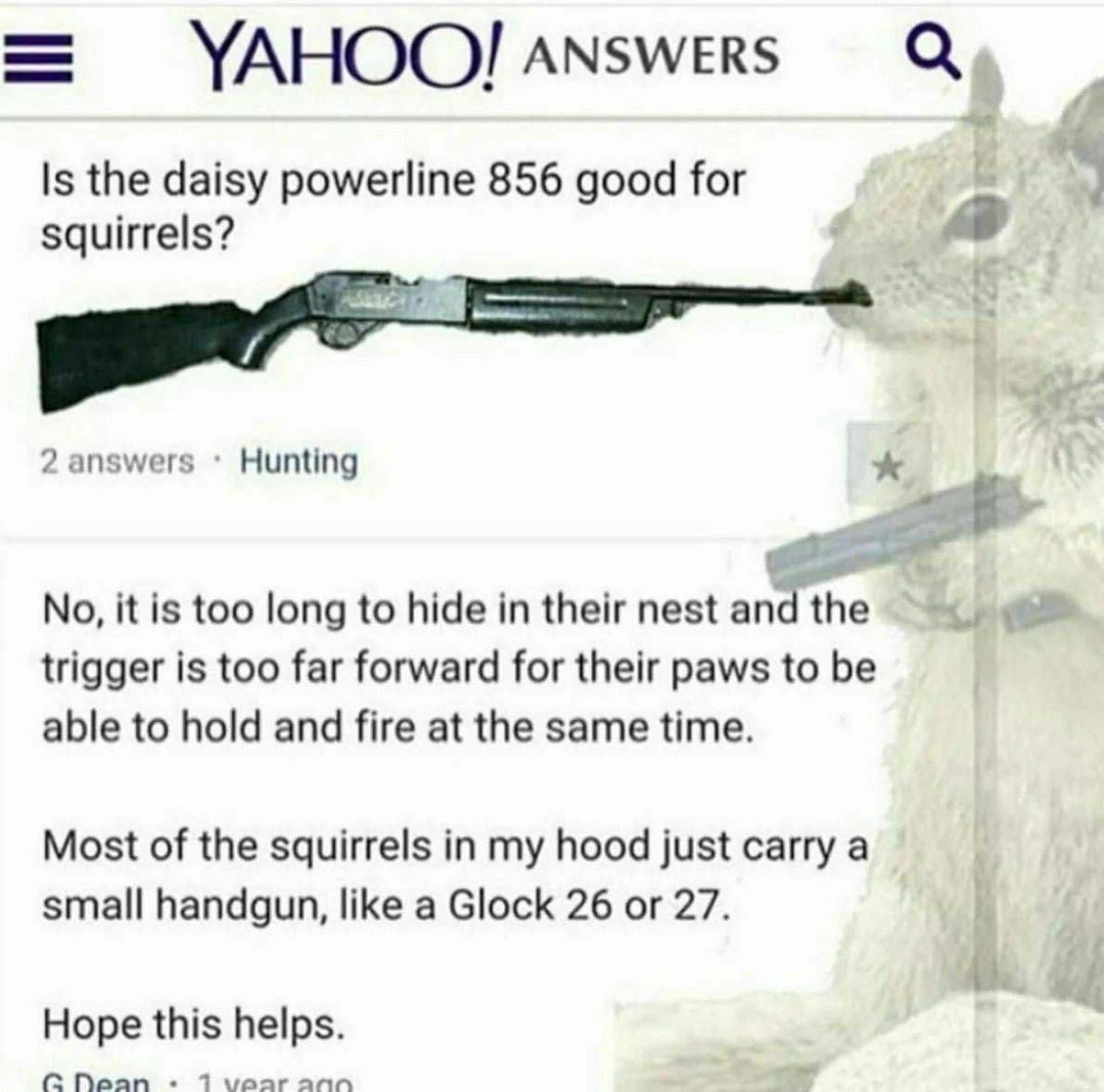 Is the daisy powerline 856 good for squirrels?\n\n2 answers · Hunting\n\nNo, it is too long to hide in their nest and the trigger is too far forward for their paws to be able to hold and fire at the same time.\n\nMost of the squirrels in my hood just carry a small handgun, like a Glock 26 or 27.\n\nHope this helps.