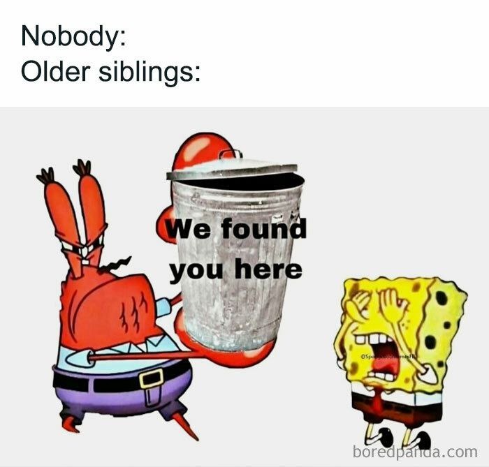 Nobody:
Older siblings:
We found you here