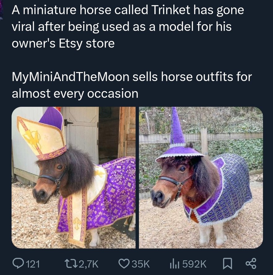 A miniature horse called Trinket has gone viral after being used as a model for his owner's Etsy store. MyMiniAndTheMoon sells horse outfits for almost every occasion.
