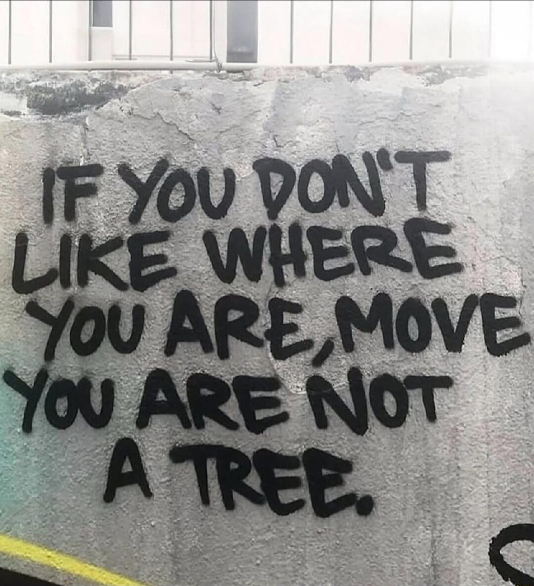 IF YOU DON'T LIKE WHERE YOU ARE, MOVE YOU ARE NOT A TREE.
