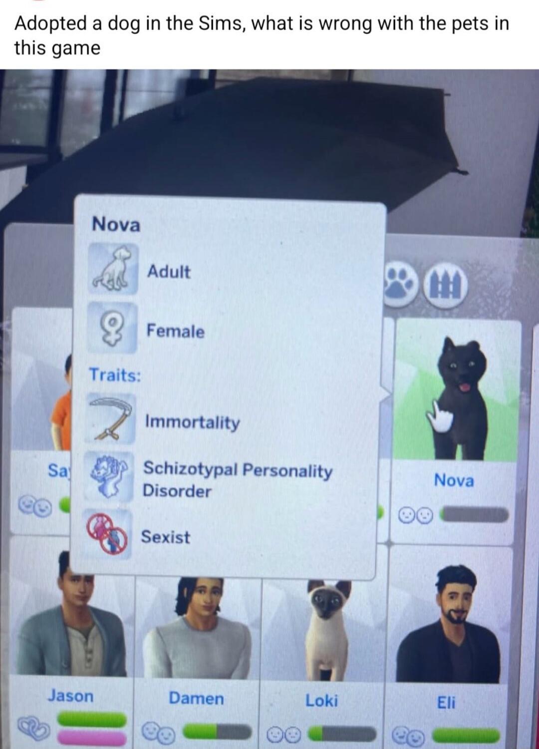 Nova
Adult
Female
Traits:
Immortality
Schizotypal Personality Disorder
Sexist