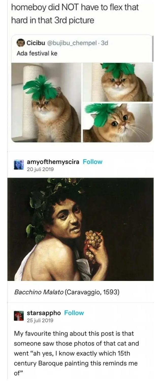 homeboy did NOT have to flex that hard in that 3rd picture Ada festival ke Bacchino Malato (Caravaggio, 1593) My favourite thing about this post is that someone saw those photos of that cat and went “ah yes, I know exactly which 15th century Baroque painting this reminds me of”