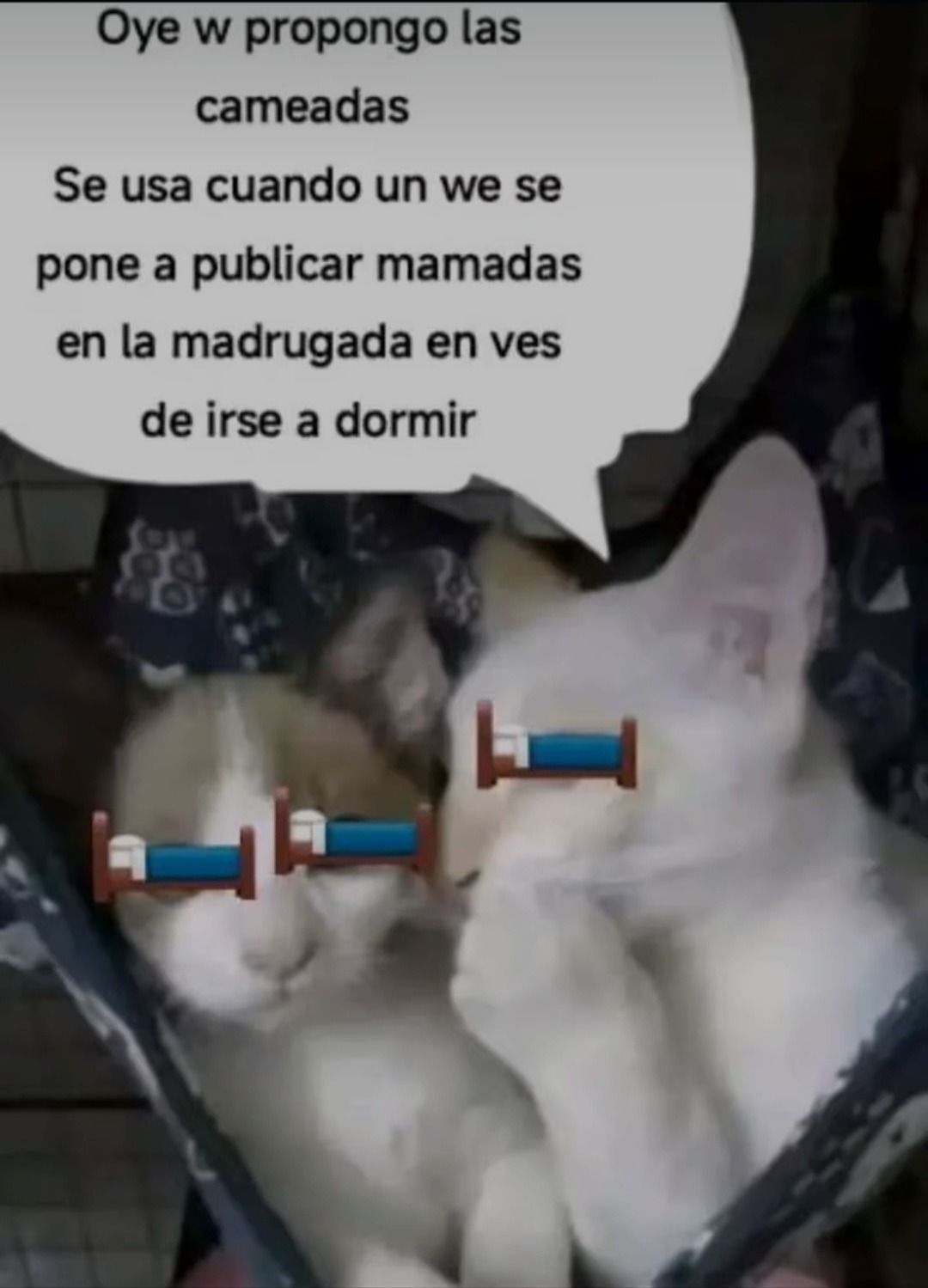 Oye w propongo las cameadas Se usa cuando un we se pone a publicar mamadas en la madrugada en ves de irse a dormir